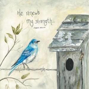 Meet your Posher, Penny